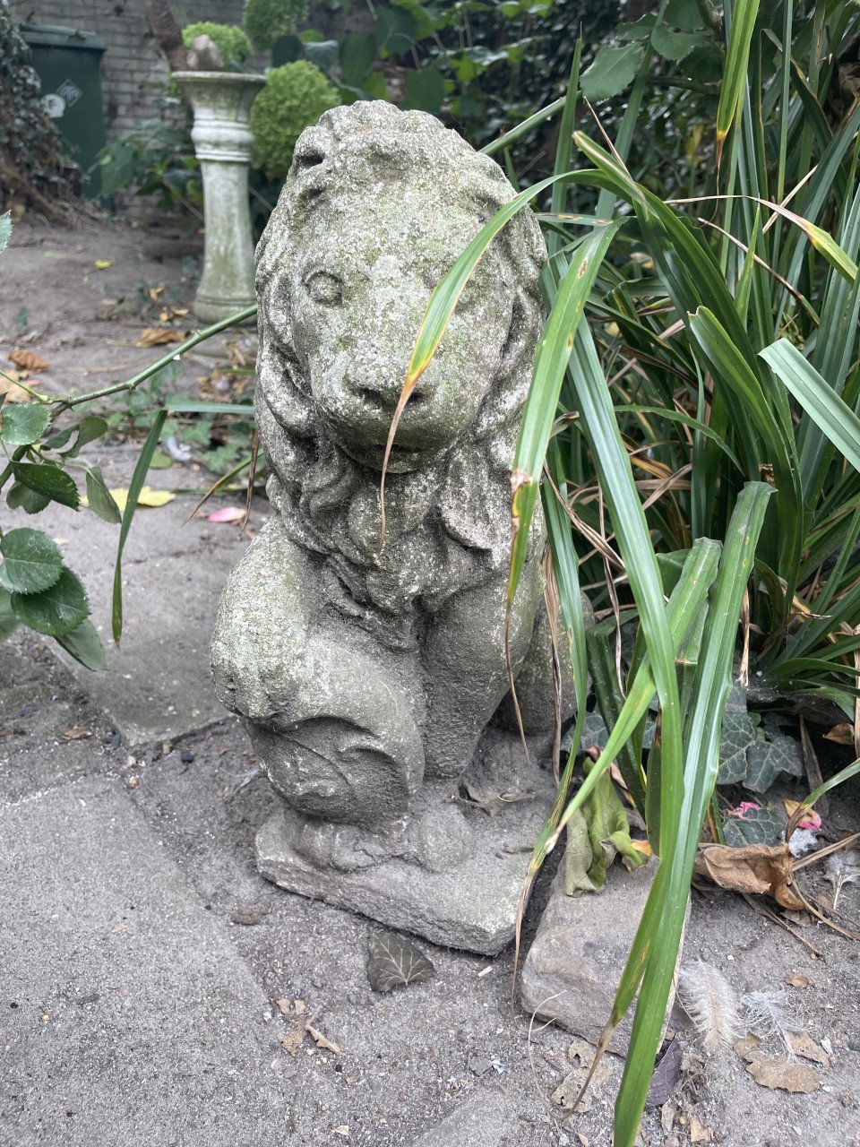 Tuinbeelden divers
