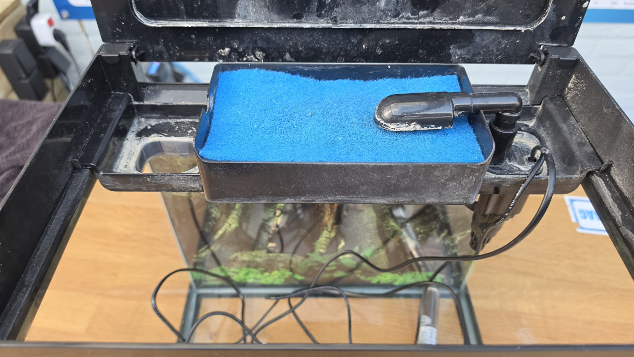 Kleine aquarium