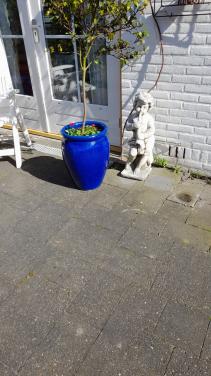 Plantenpot voor buiten