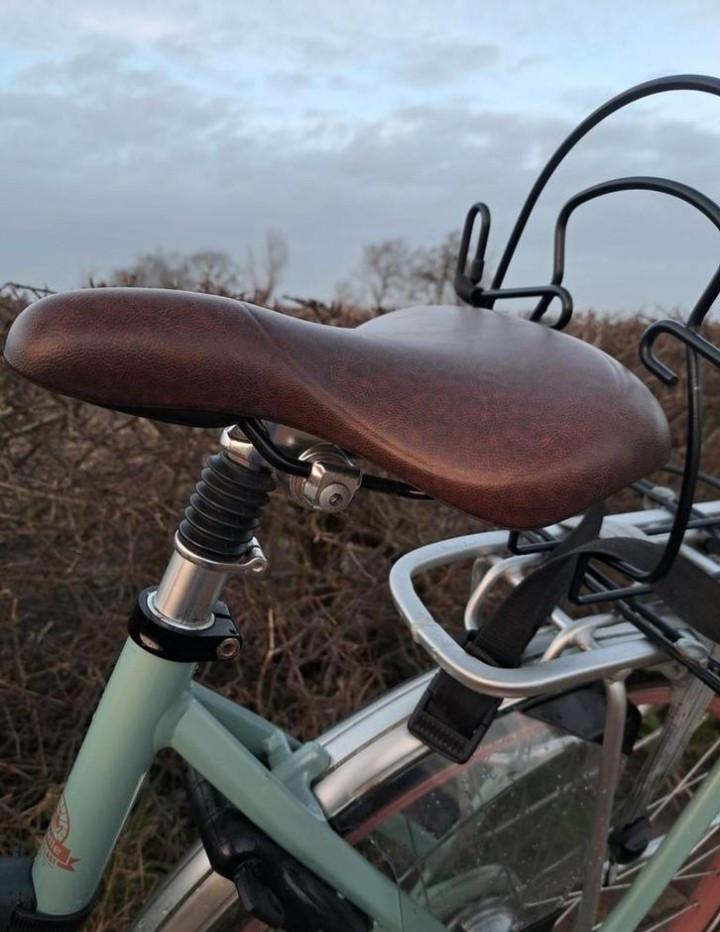 Gazelle Orange C7+ Damesfiets - Framemaat 53 8 versnellingen