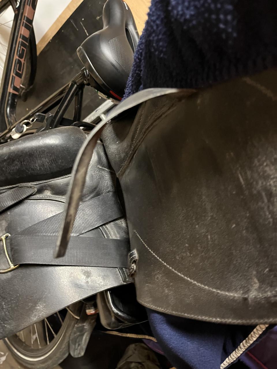 Kentaur elektra zadel