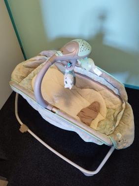Ingenuity Rocker/trillende wieg