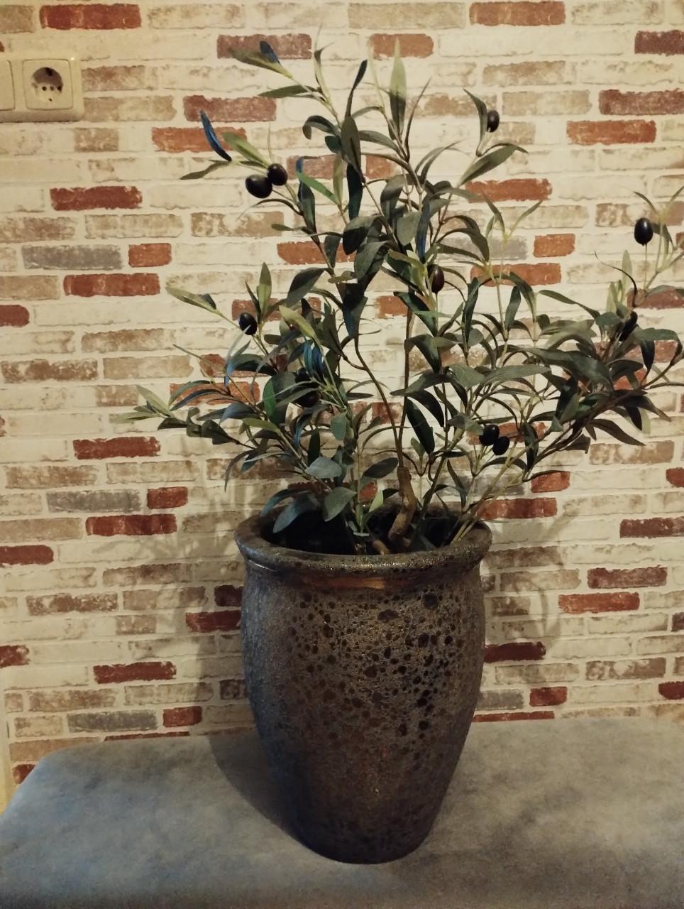 Mooie bloempot met olijfboompje