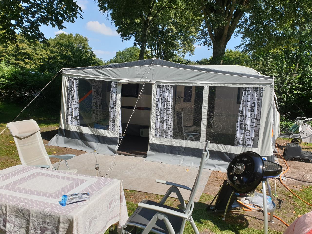 Grote Franka (Dorema) voortent (G18)