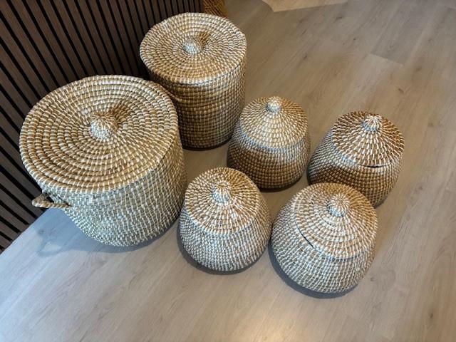 Diverse opbergmanden (van Loods5)