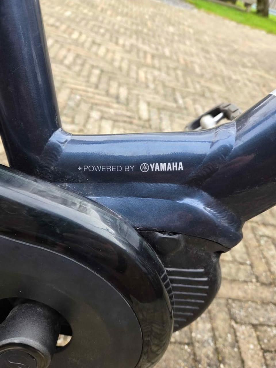 Elektrische Giant Entour 1+ Damesfiets