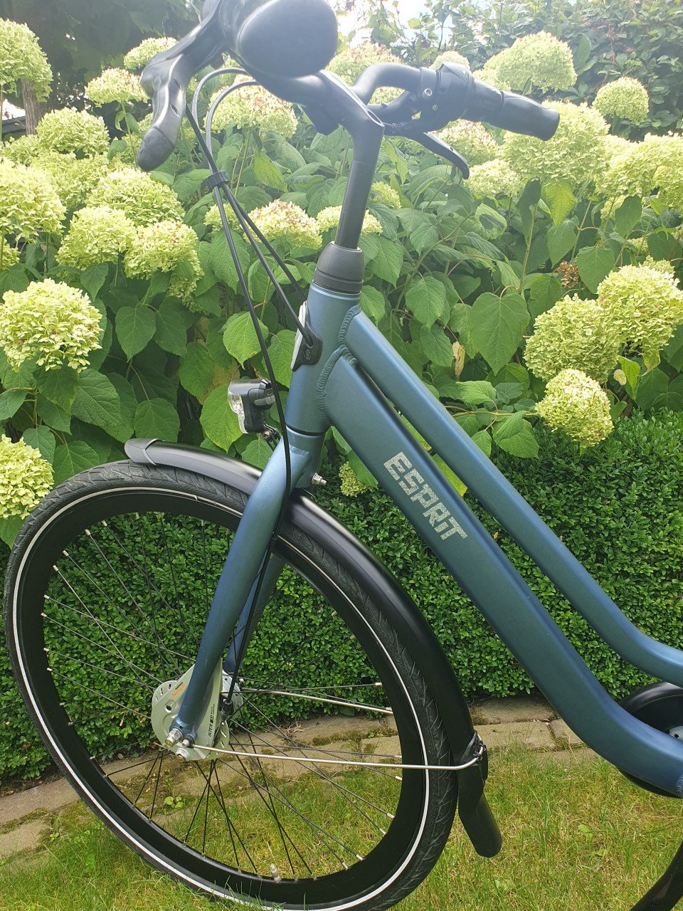 Gazelle Esprit D49 meisjesfiets 7 versnellingen