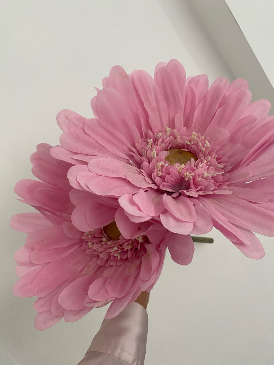 Roze bloemen 2 X