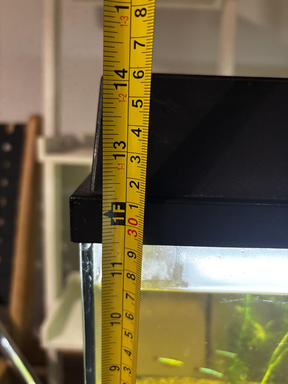 Aquarium inclusief vissen en alle toebehoren