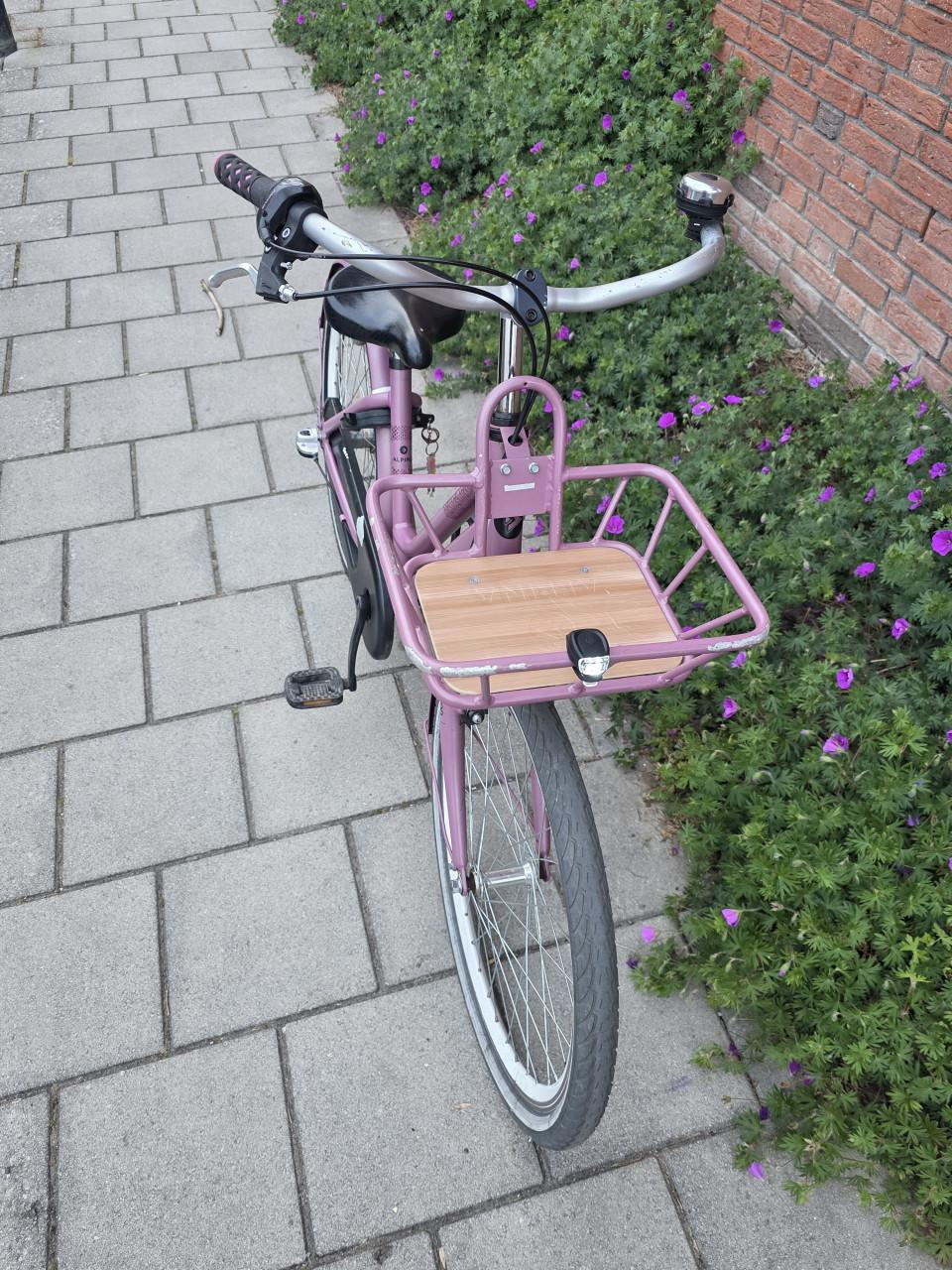 ALPINA | MOOD | 24 INCH | 38 CM | NEXUS 3 | NETTE STAAT!