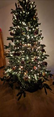 Kerstboom