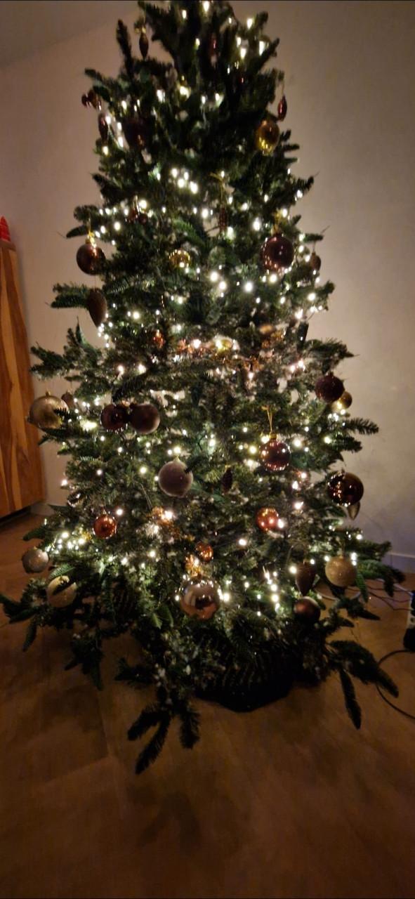 Kerstboom