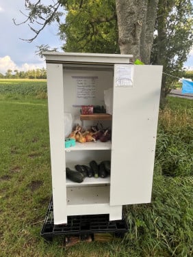 Groente uit eigen tuion