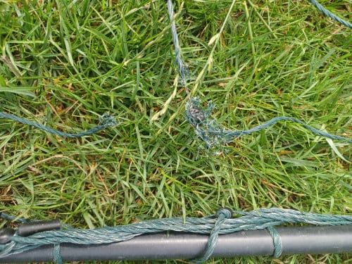 Schapengaas groen van Voss farming.