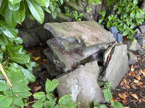Flagstones stapstenen