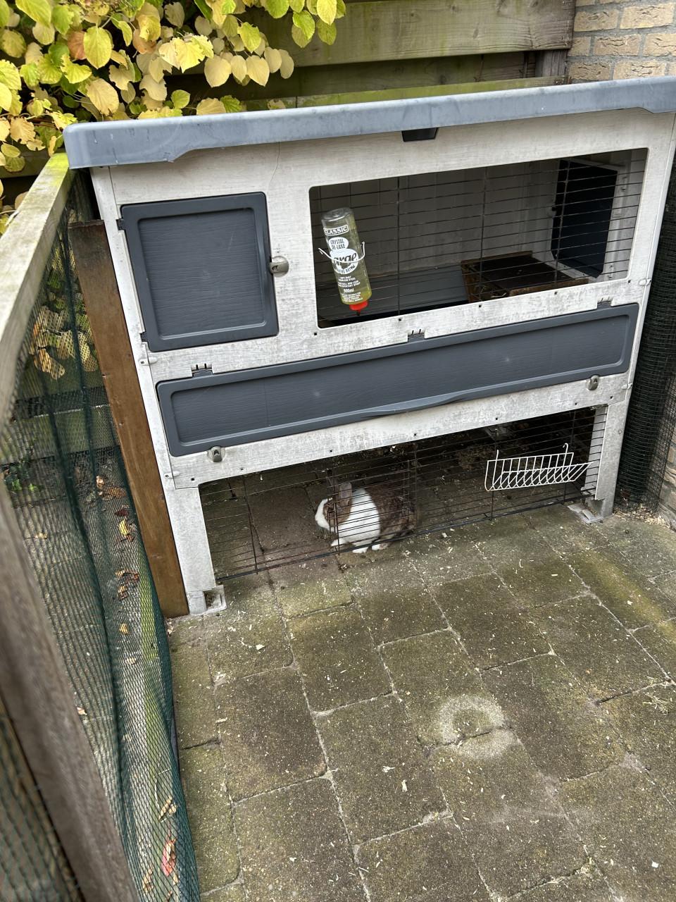 Konijnenhok en konijntje (gereserveerd)