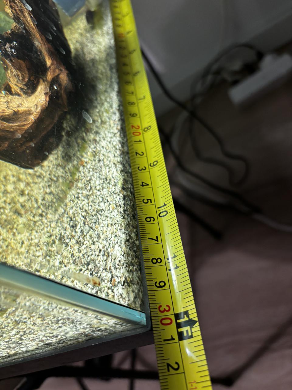 Aquarium inclusief vissen en alle toebehoren