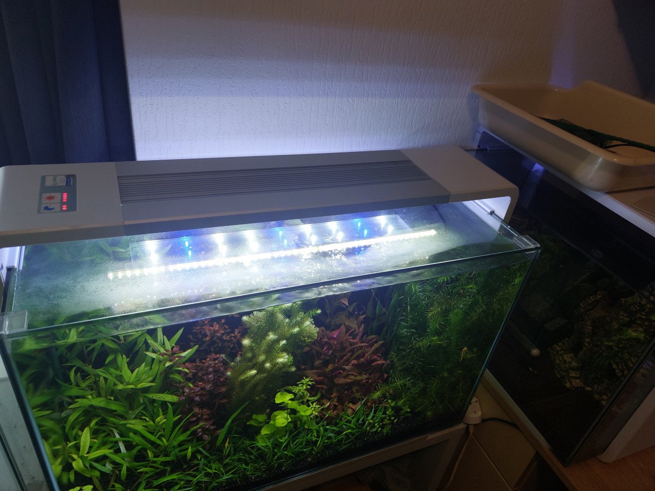 Sf home 110