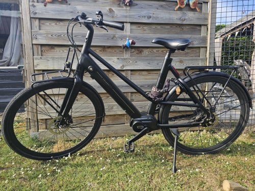 Veloretti ivy one