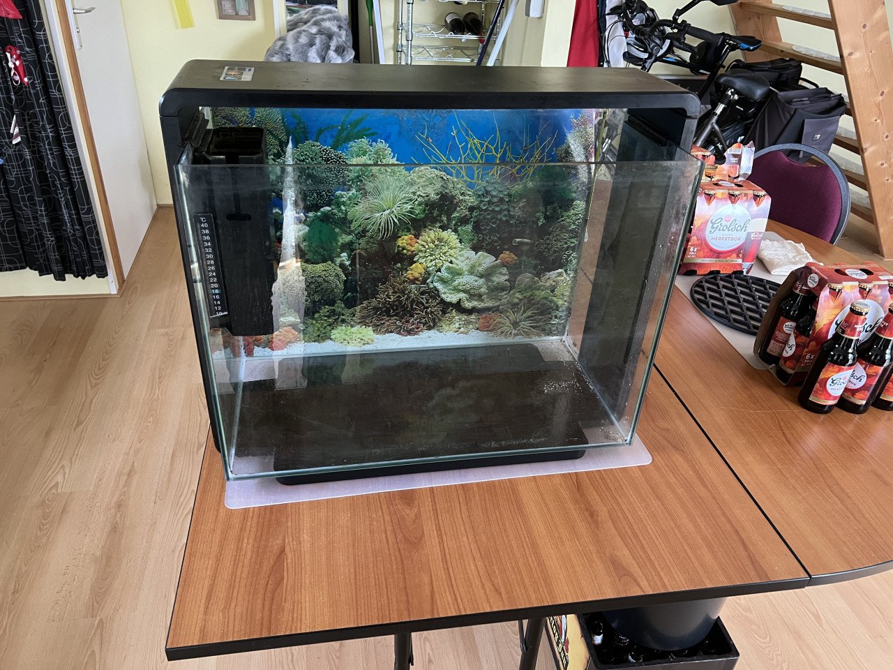Superfish Home 80 LED Aquarium