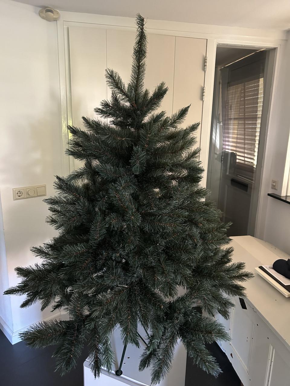 Kerstboom , 1 keer opgezet. Intratuin , Romagne