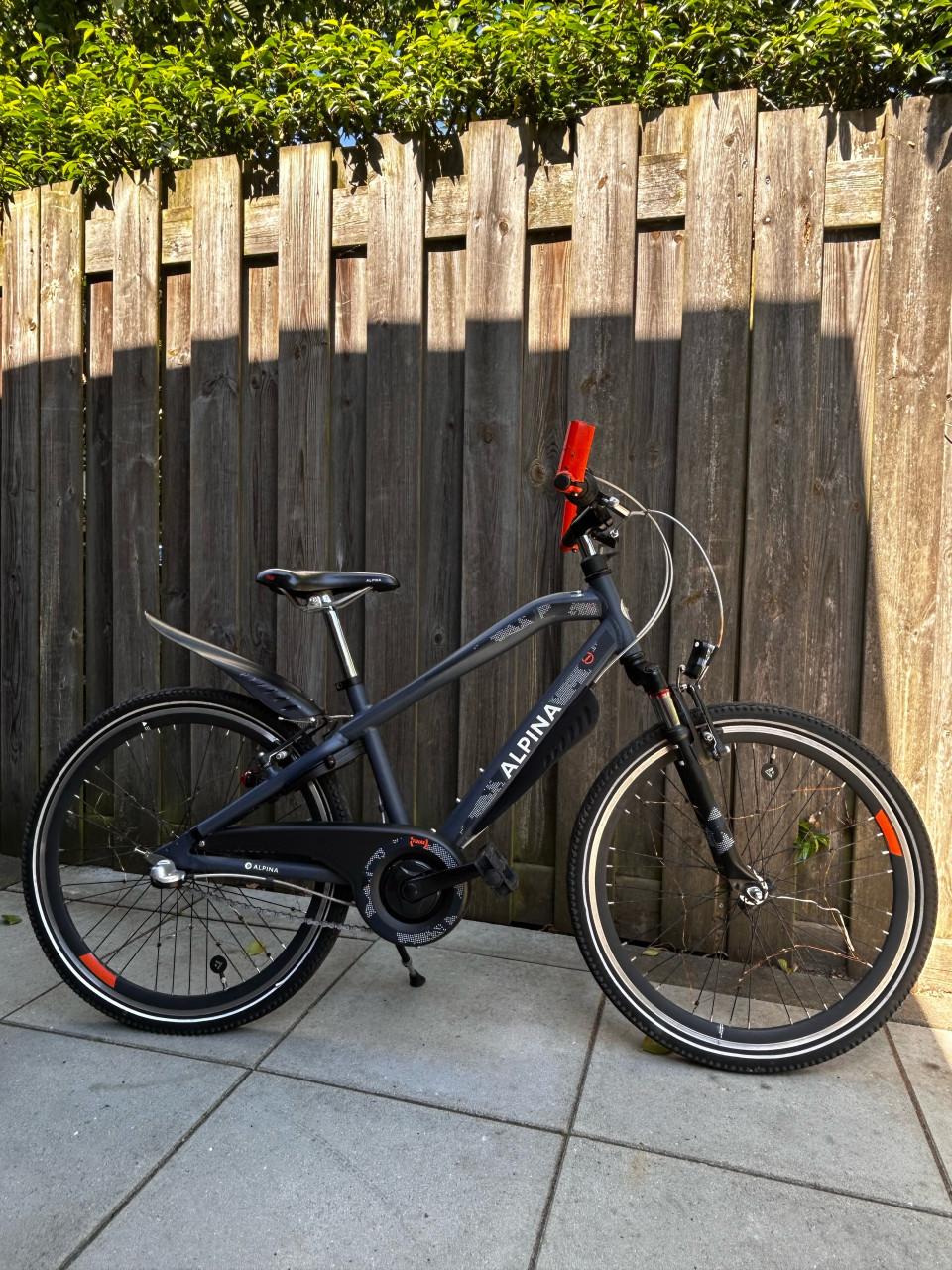 Alpina Trial 24”