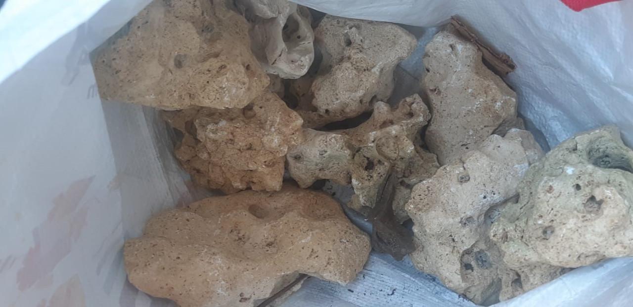 Aquarium 80x50 en 40x20, aqua pro4, decoratie, verwarming, gratis guppys