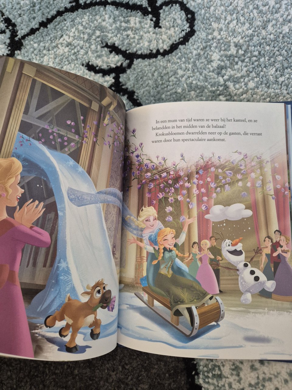 Frozen boekje