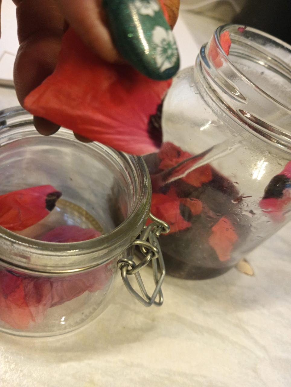 Wildplukwinterwandeling