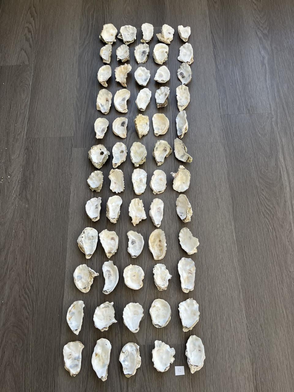 Oesterschelpen