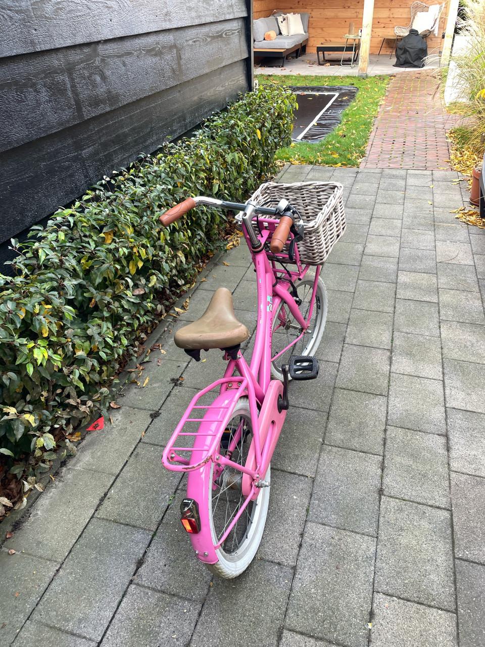 Meisjes fiets Alpina 18 inch