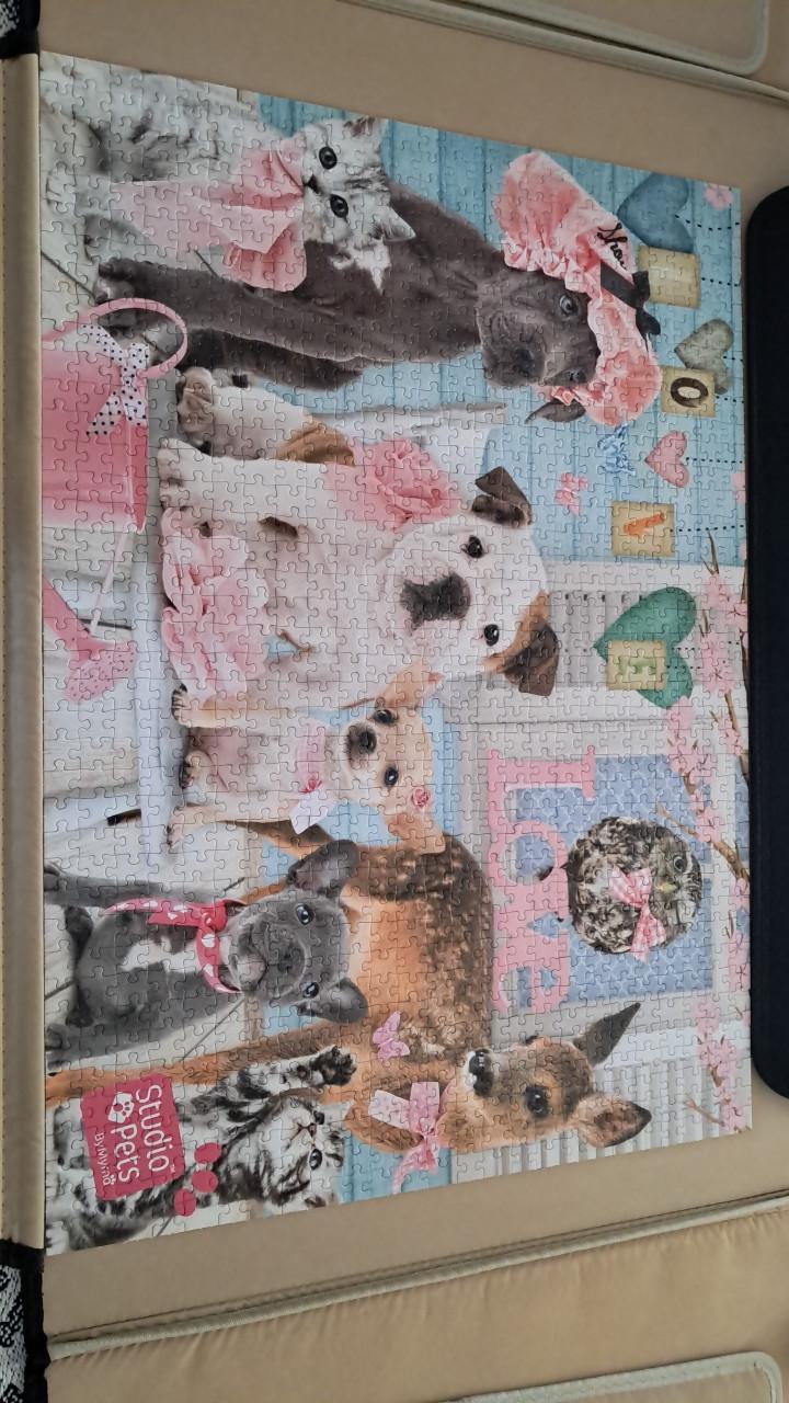Jumbo puzzel Studio Pets 1000 stukjes