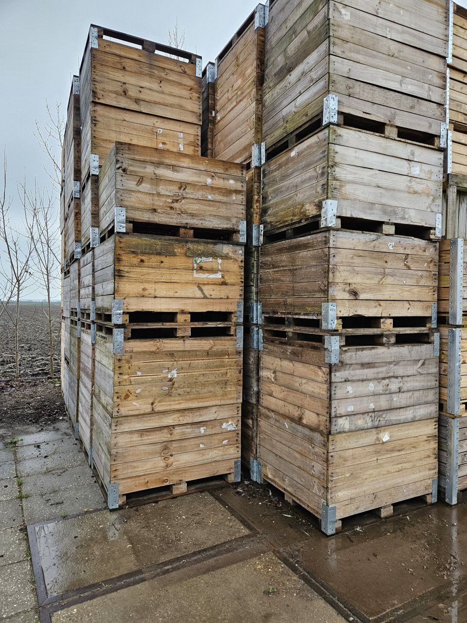 Fruitkisten. Opslagboxen. Moestuinbakken., Voorraadbakken. Houtenkratten