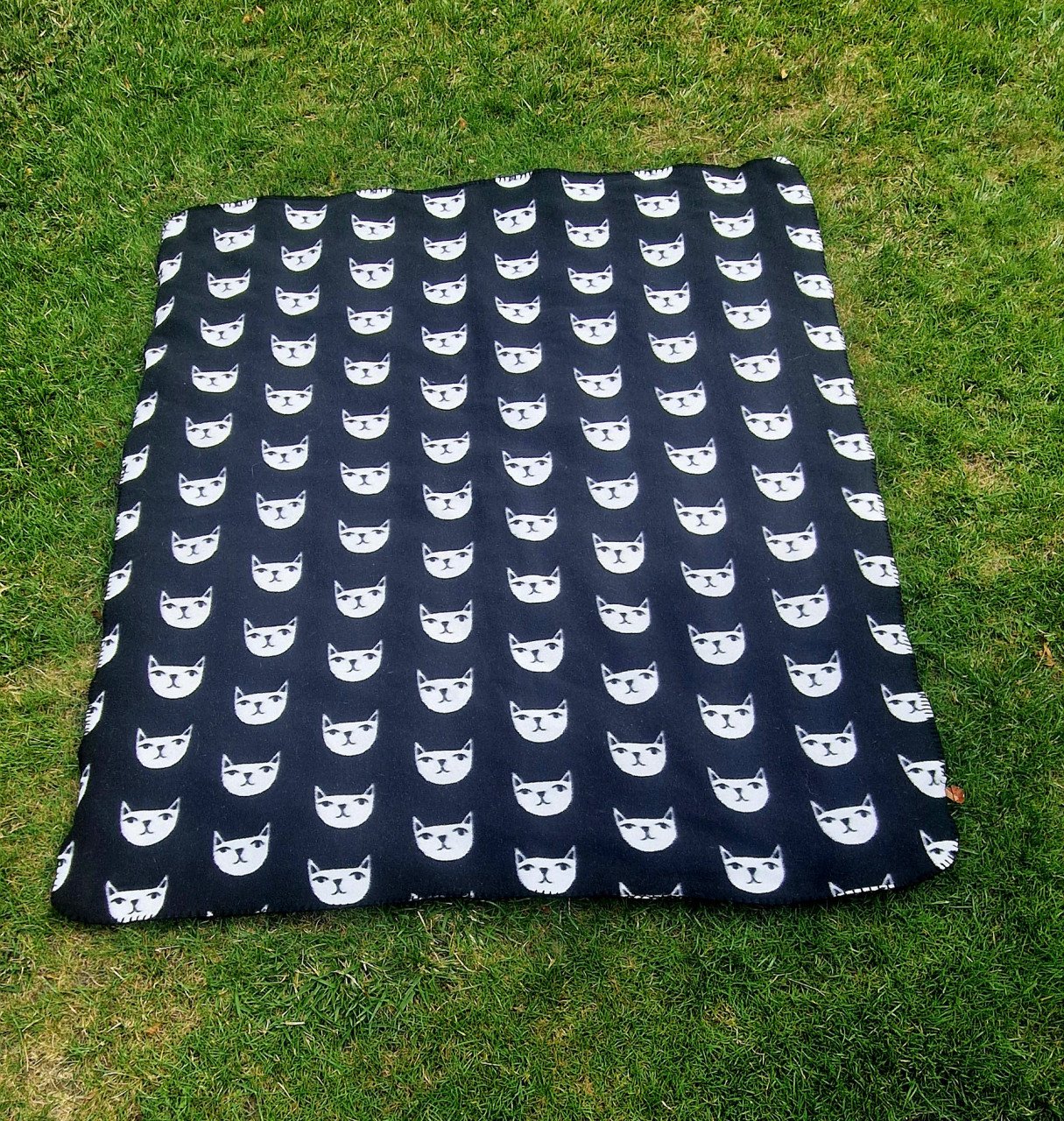 Transportbox kat, kattenluik, waterfontein, voer- drinkbakjes