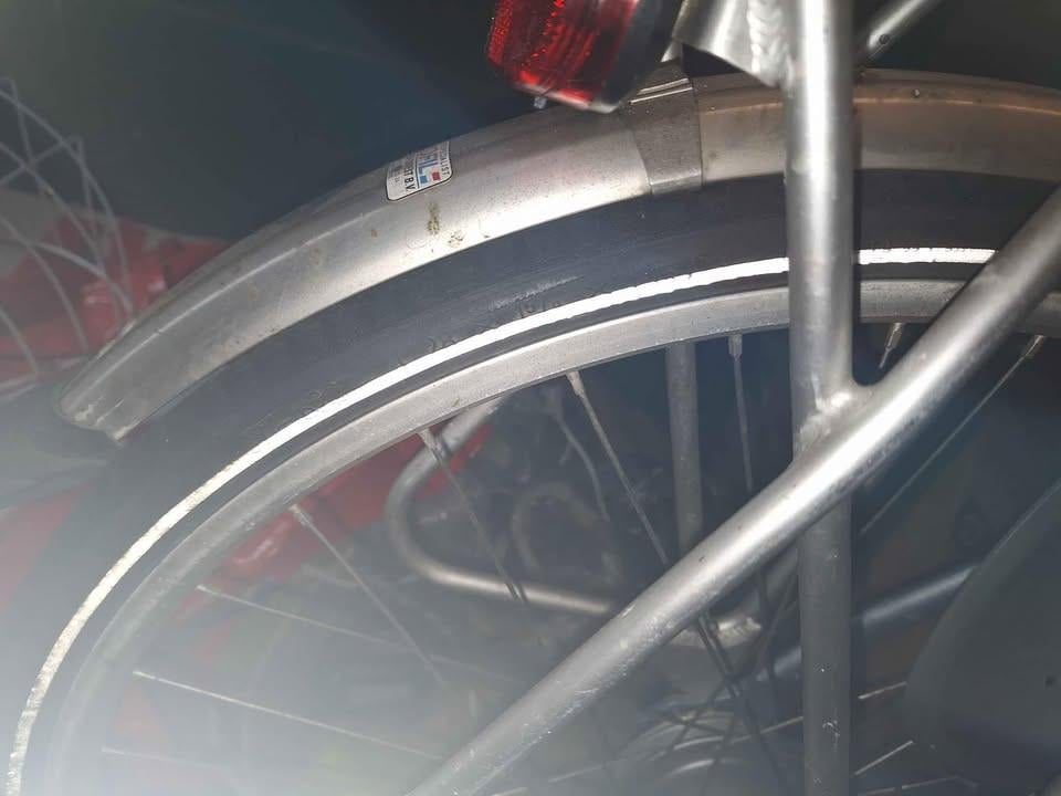 Damesfiets met 8 versnellingen