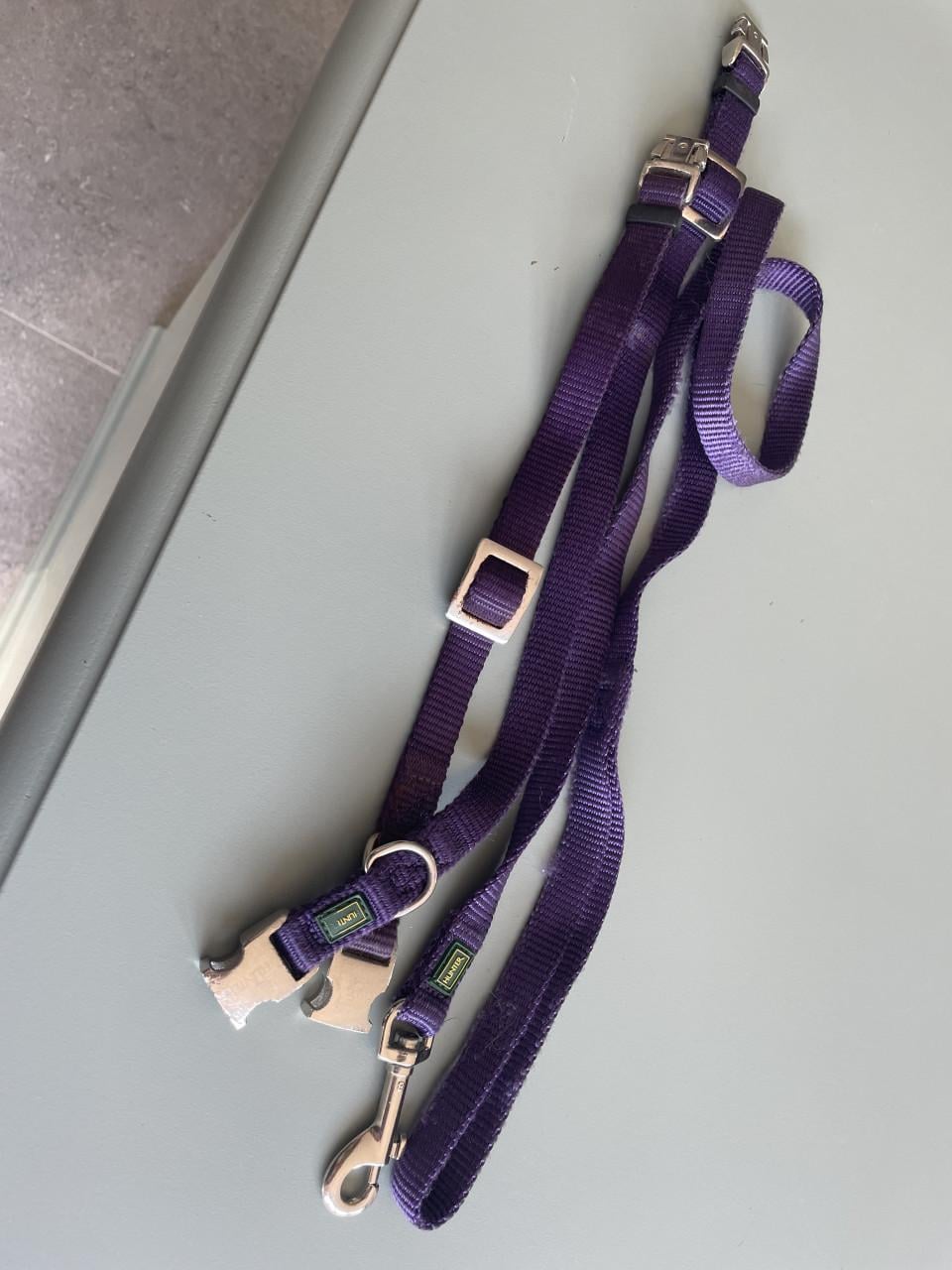 ZGAN HUNTER Kleine hond/Puppy bandjes plus Lijn IZGS!!