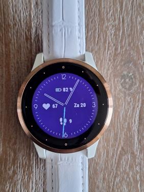 Smartwatch Garmin Vivo Active 4S