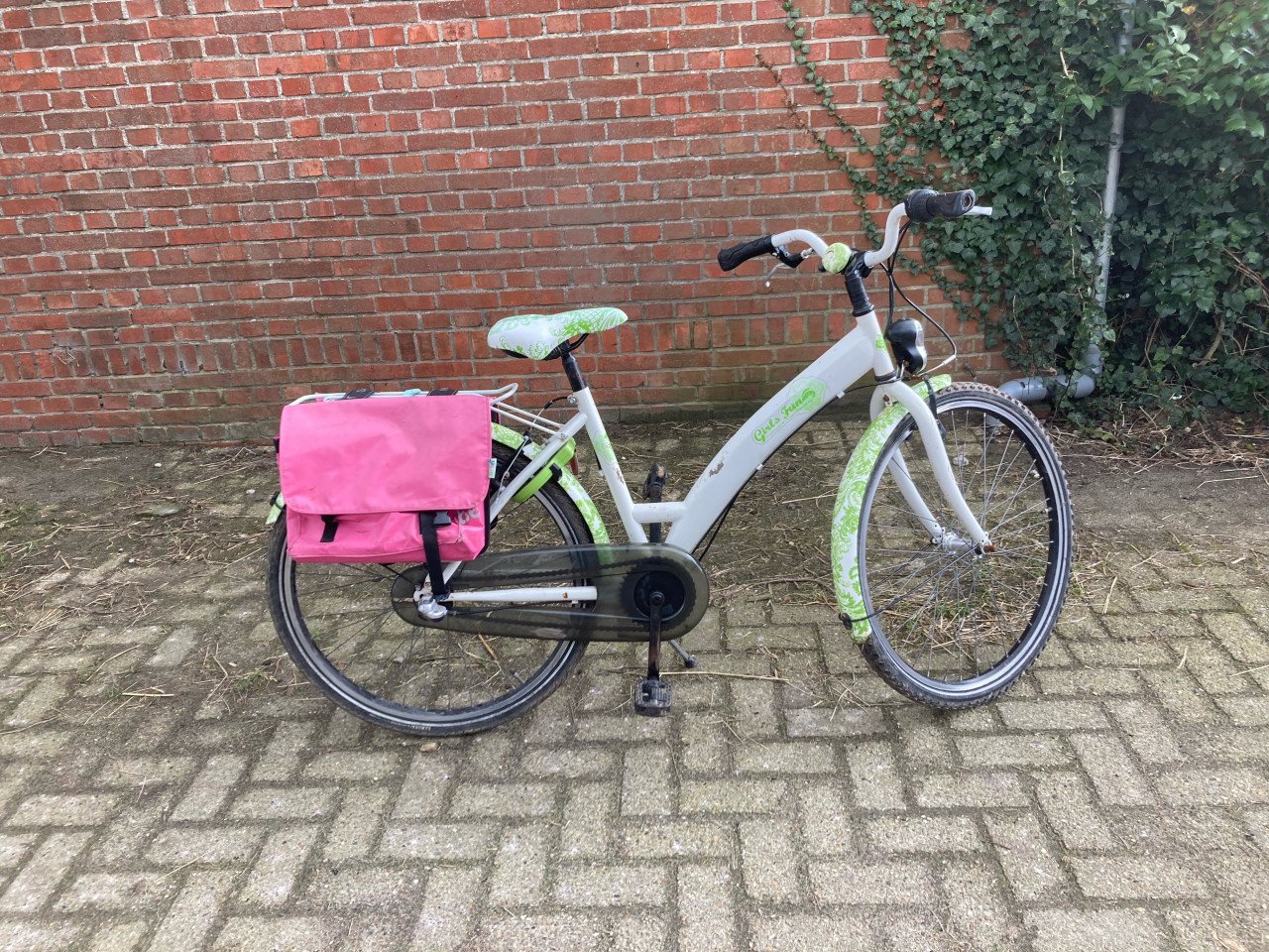 Bike for fun meisjesfiets 26inch