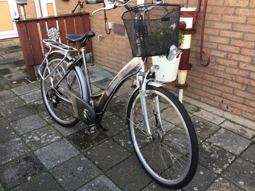 Sparta ion elektrische dames fiets