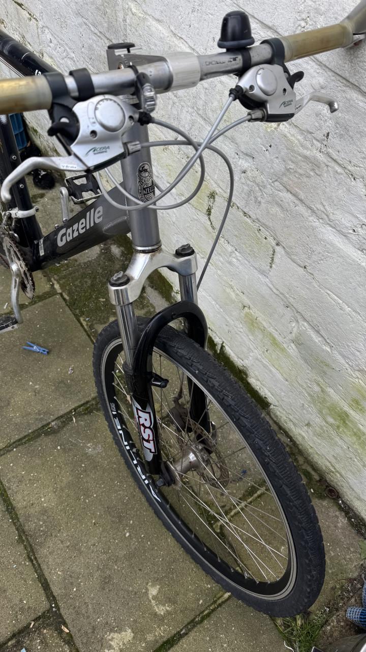 Gazellr mountainbike