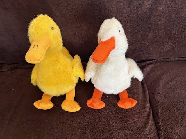 2 leuke eenden.  Ze bewegen en kwekken,