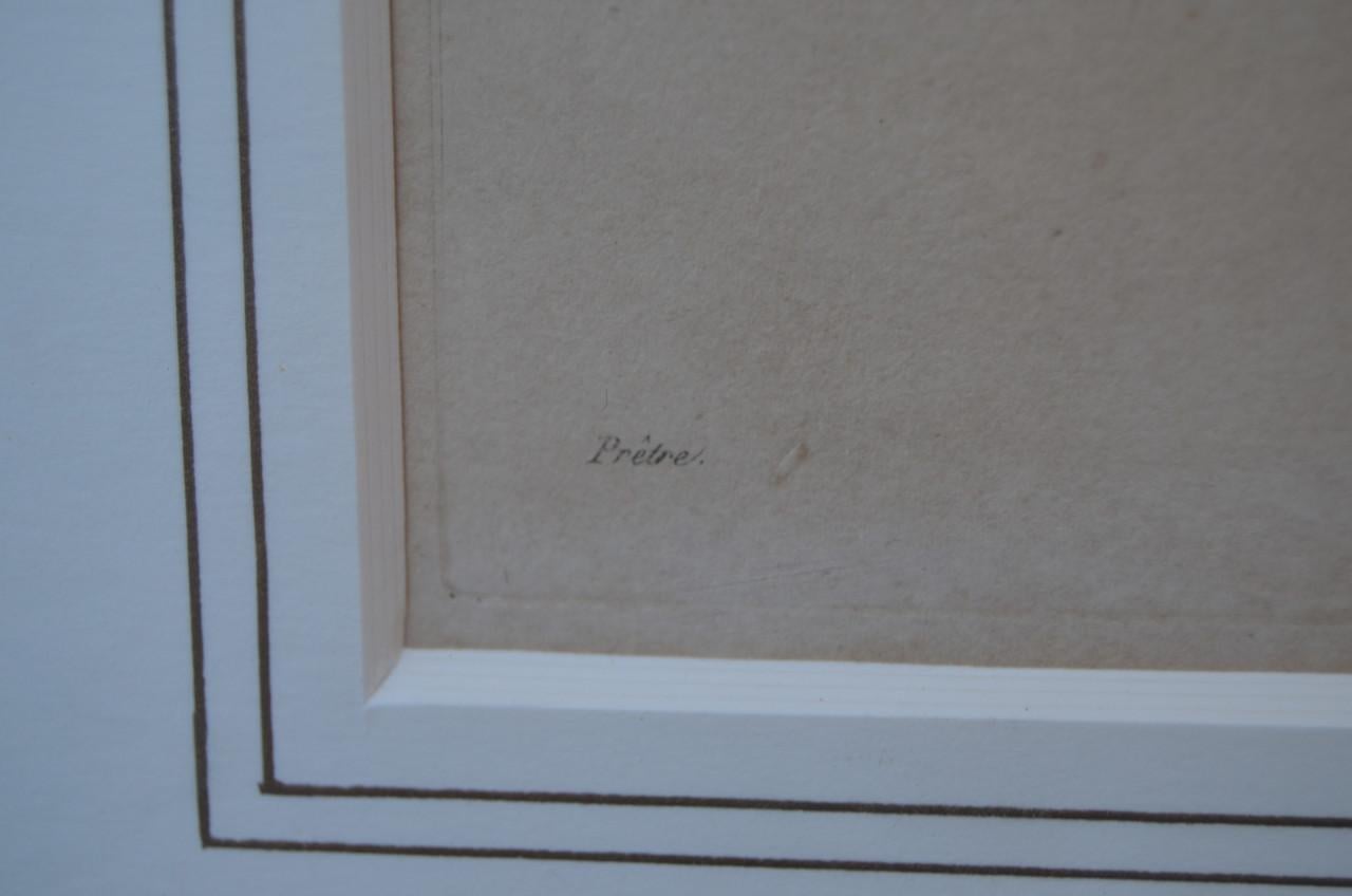 Gravure 19e eeuws van een specht, wel mooi eigenlijk