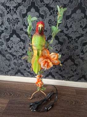 Papegaai lamp