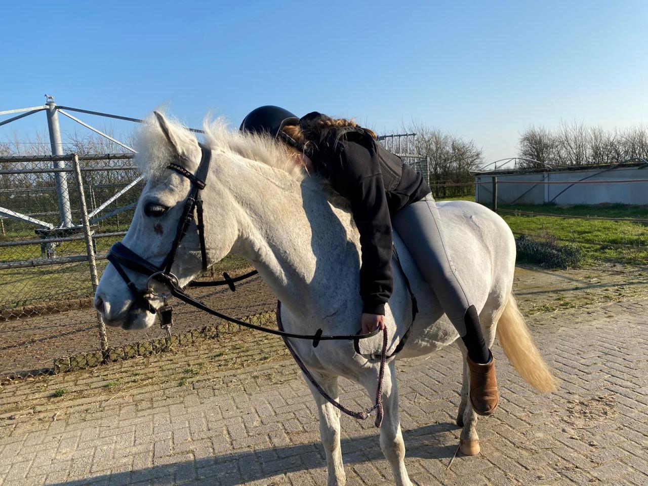 Brave allround kinderpony