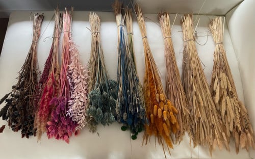 10 bosjes droogbloemen in allerlei kleuren