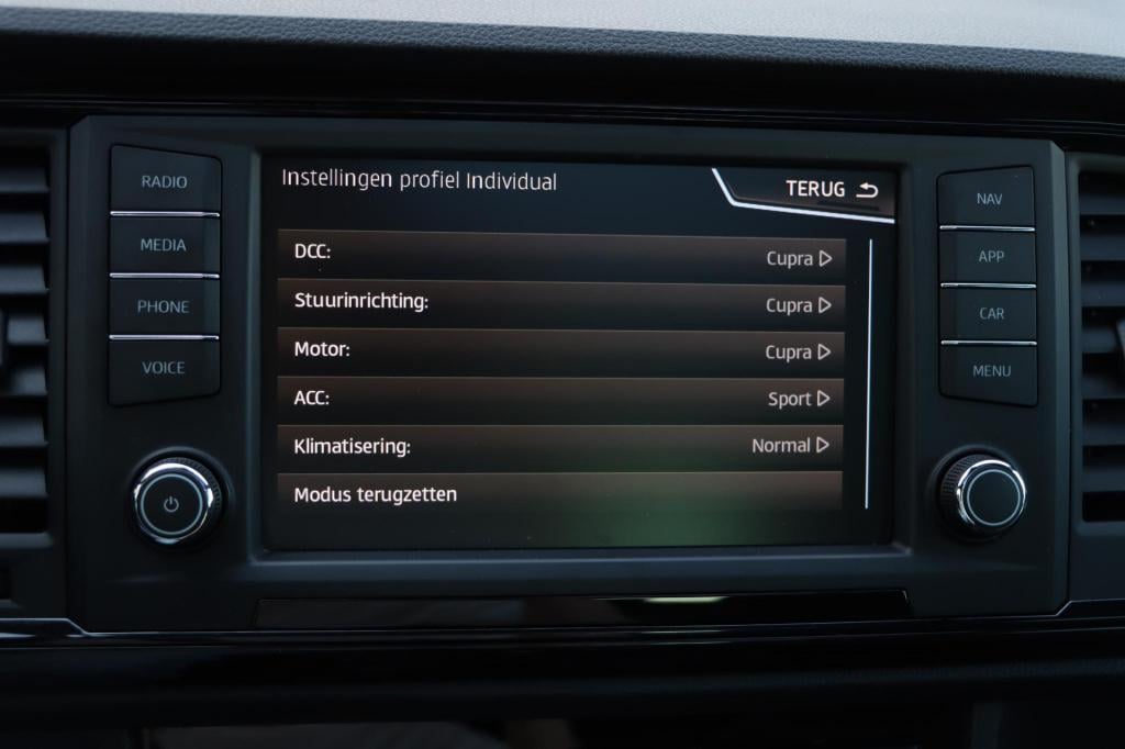 Cupra Ateca 2.0 tsi 4drive 300pk dsg7