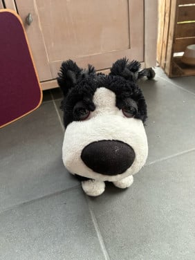 Knuffel hond
