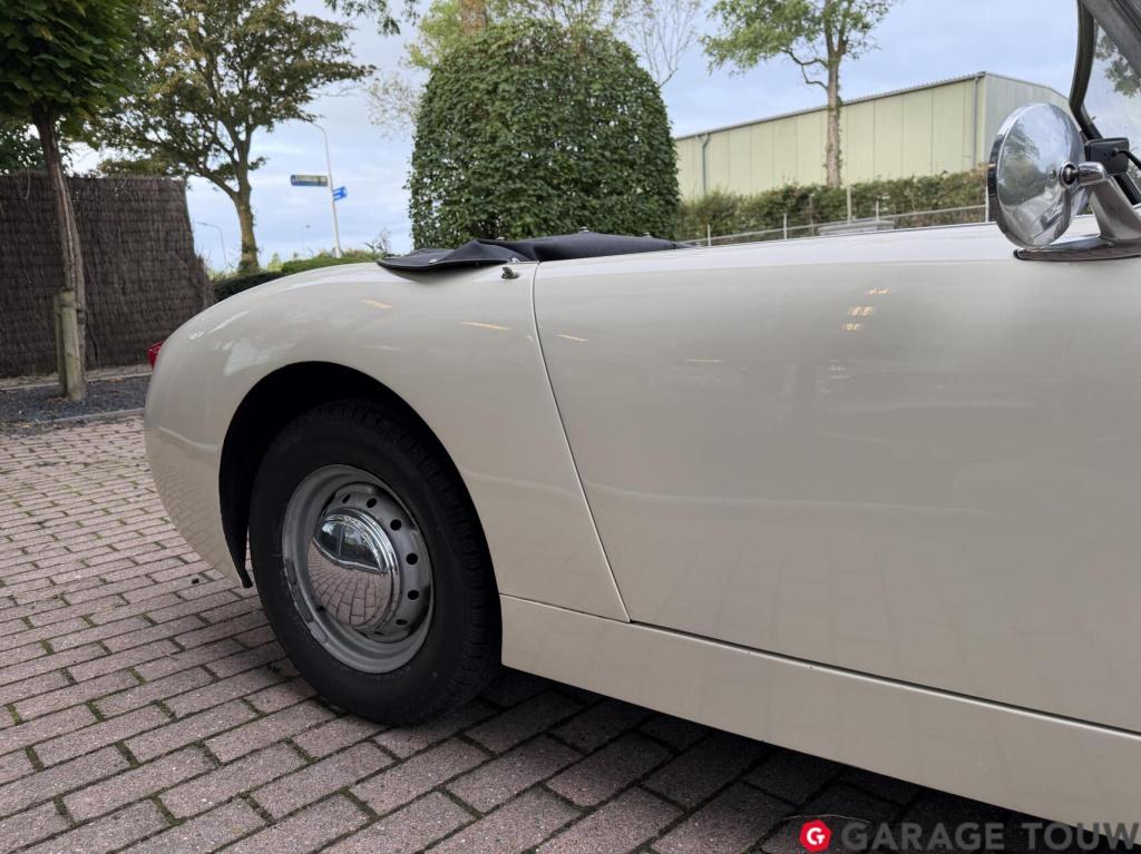 Austin Healey Onbekend sprite mk1 frogeye