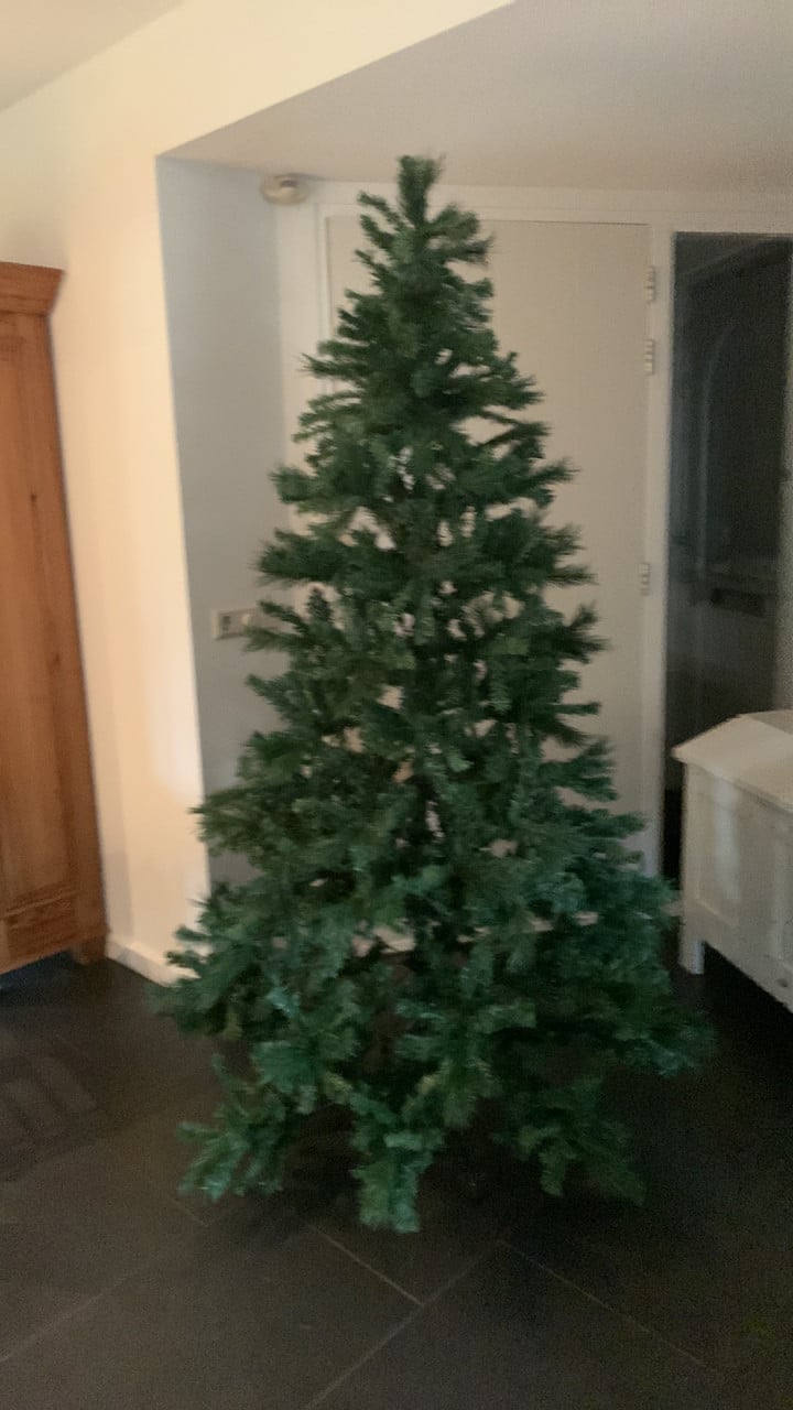 Kerstboom 2.10 hoog