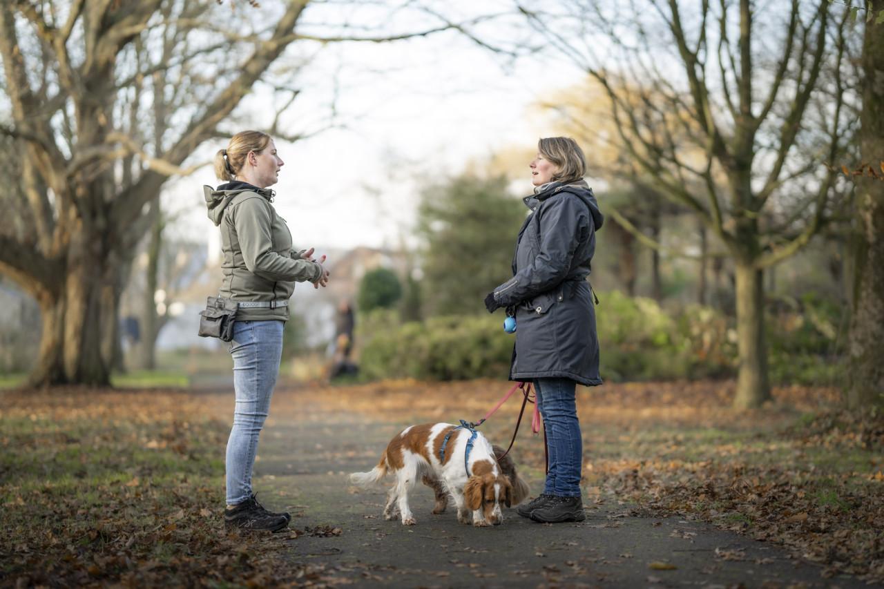 Uitvallende of overenthousiaste hond? Sluit aan bij een Groepswandeling